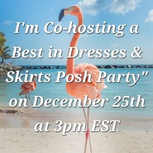 I'm Co-hosting A Best In Dresses And Skirts Party